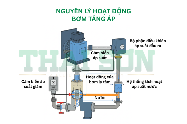 nguyen ly hoat dong bom tang ap 2